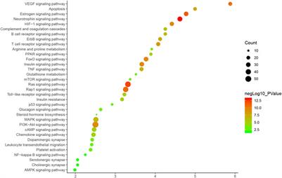 Exploring the Regulatory Mechanism of Hedysarum Multijugum Maxim.-Chuanxiong Rhizoma Compound on HIF-VEGF Pathway and Cerebral Ischemia-Reperfusion Injury’s Biological Network Based on Systematic Pharmacology